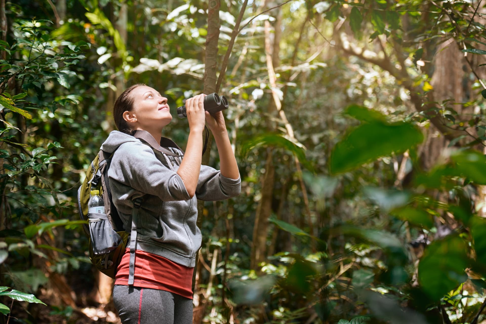 Bird Watching: ¿dónde observar aves en Colombia?